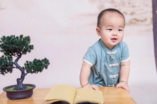 河源可爱的企鹅宝宝